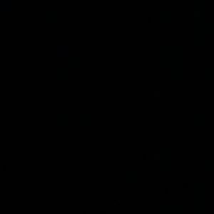 Meet your Posher, Alondra